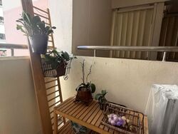 Blk 235 Bishan Street 22 (Bishan), HDB 4 Rooms #576352281